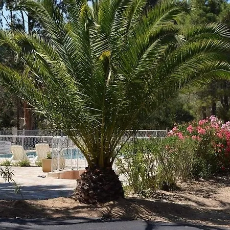 Hotel Paradella Calvi (Corsica)